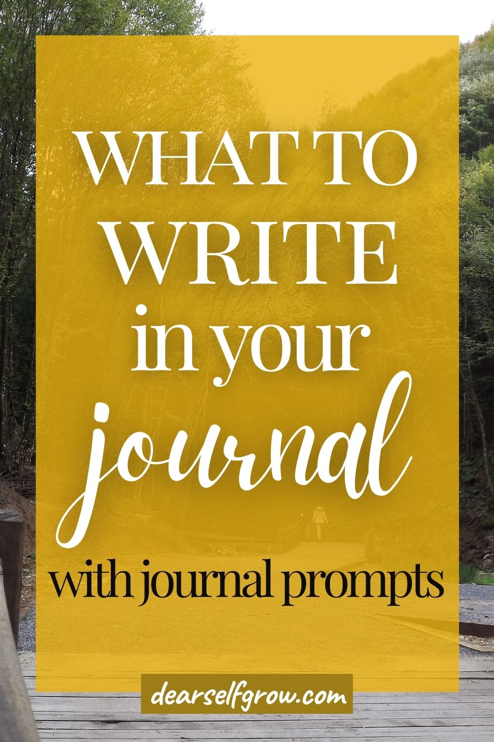what-to-write-in-your-journal-to-focus-on-your-goals-dear-self-grow